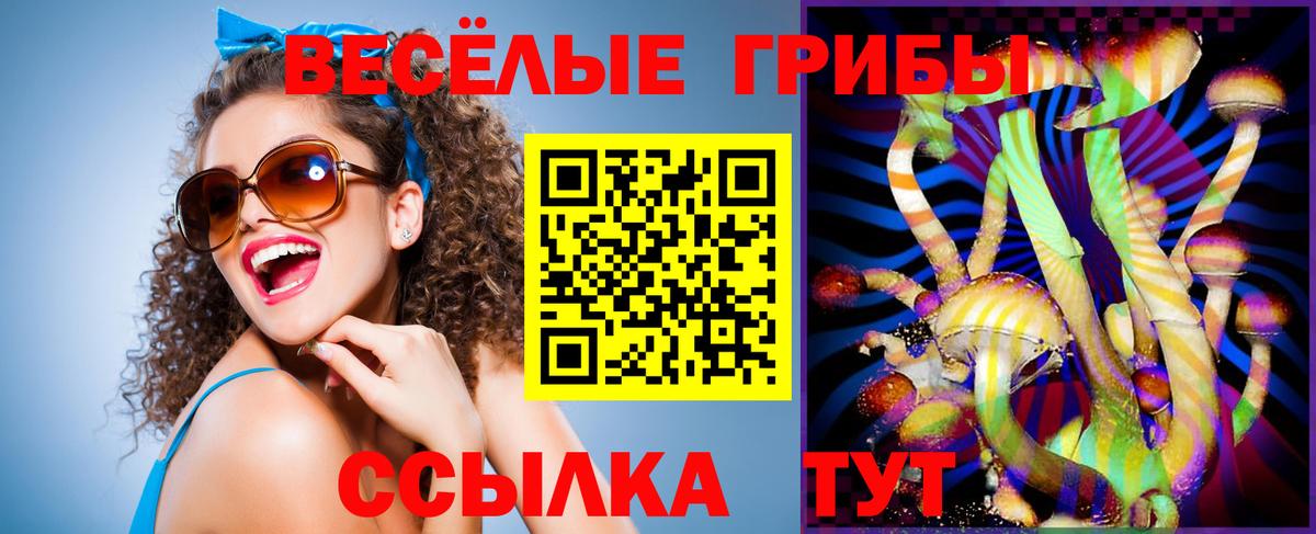 Воскресенск  Псилоцибиновые грибы Cubensis  Вход с VPN 